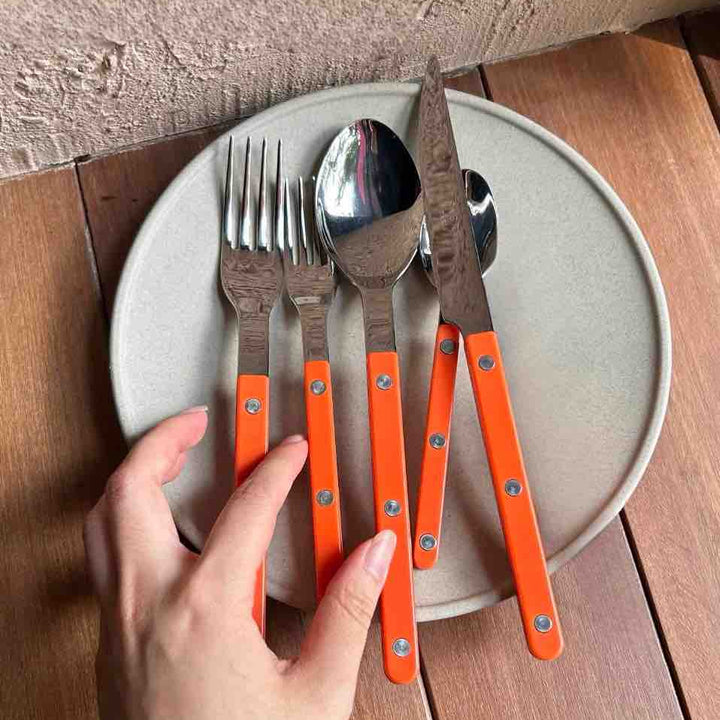 Set Of 10 Pcs French Dopamine Flatware - Bistrot Style Cutlery